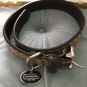 Coach belt